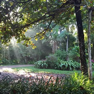 https://fan-palm-creek-hideaway.queenslandhotels.net